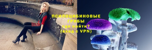 прущая мука Лиски