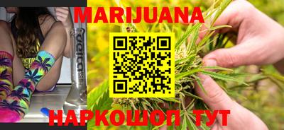 шишки Кандалакша