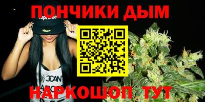 шишки Кандалакша