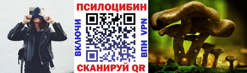 купить   OMG сайт  Псилоцибиновые грибы GOLDEN TEACHER  Копейск 