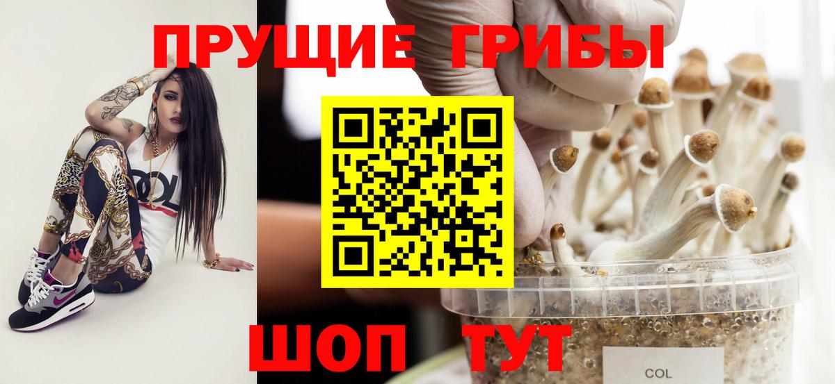 хочу   Галлюциногенные грибы ЛСД  Копейск  Вход с VPN  Галлюциногенные грибы Cubensis 